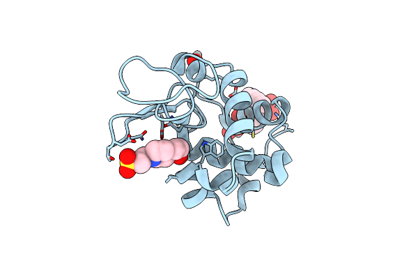 8RTK image