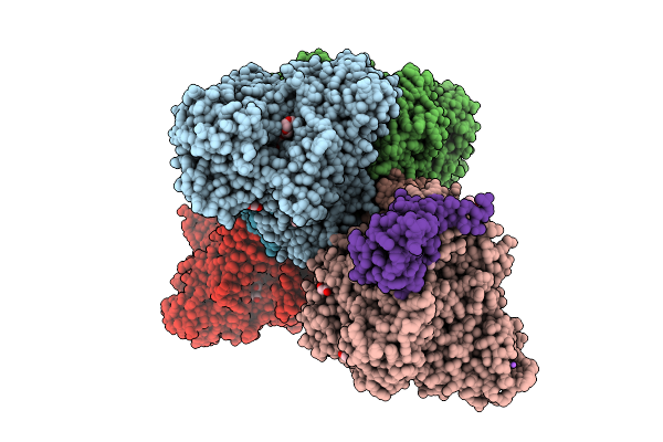 8RTL image