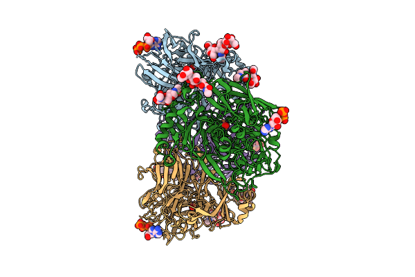 8RTO image