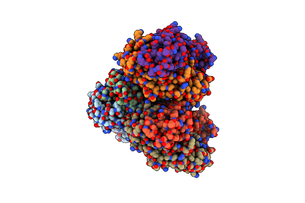 8RTX image