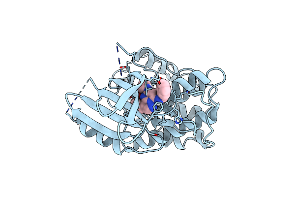 8RU8 image