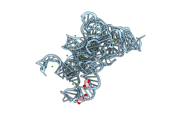 8RUL image