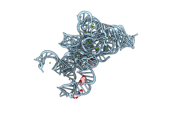 8RUN image