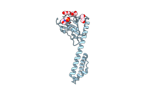 8RUO image