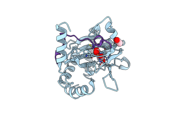 8RUT image