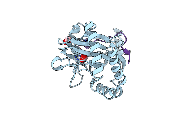 8RV1 image