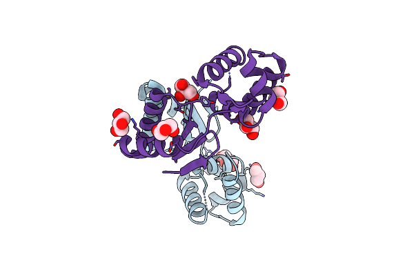 8RV3 image