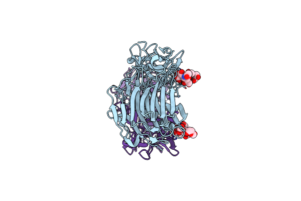 8RVG image