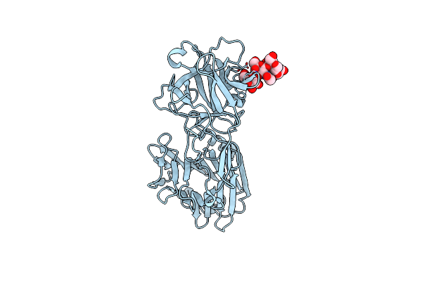 8RVI image
