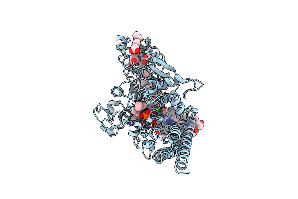 8RVM image