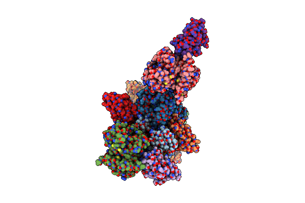 8RVR image