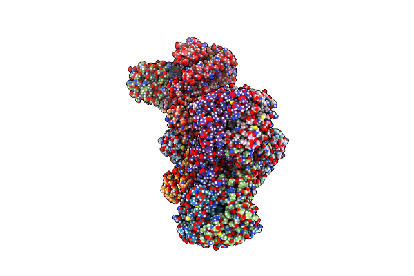 8RVU image