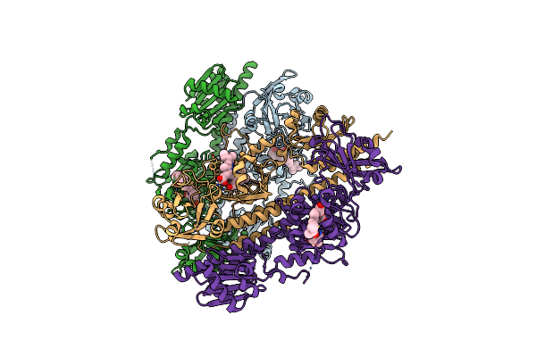 8RVX image