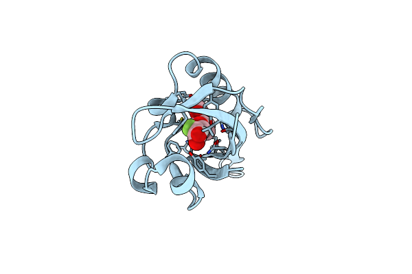 8RW8 image