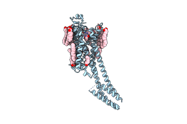 8RWI image