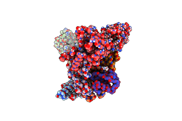 8RX0 image