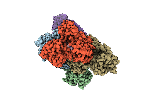 8RX6 image