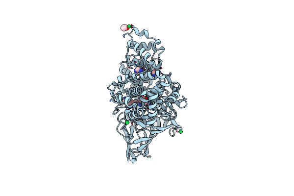 8RX9 image