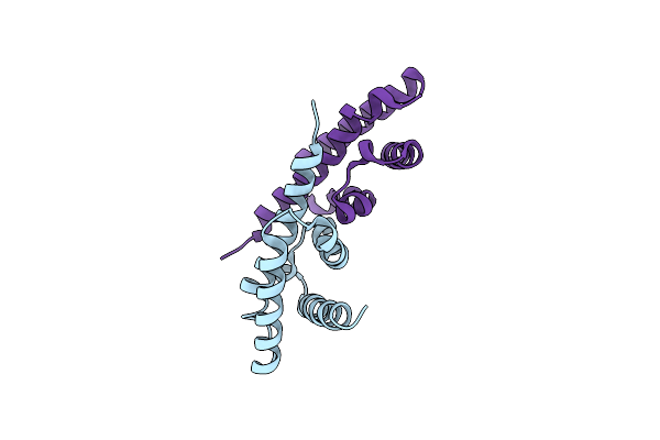 8RXA image