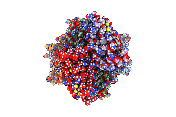 8RXB image