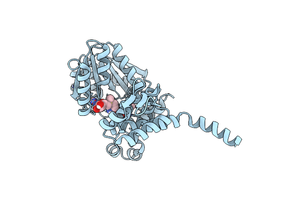 8RXG image
