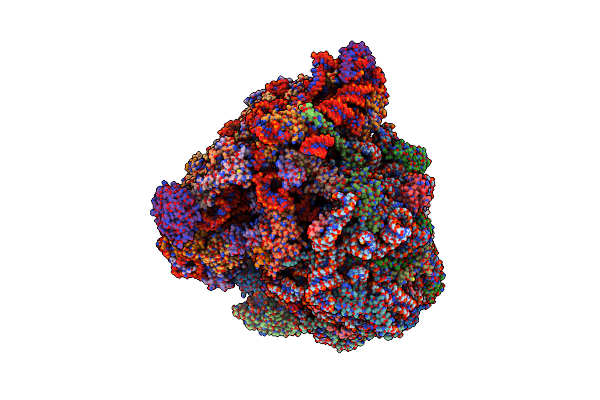 8RXH image