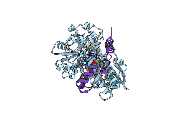 8RXI image
