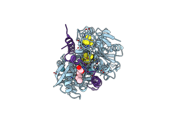 8RXJ image