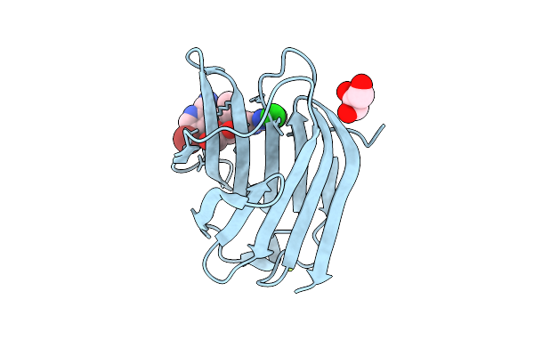8RXM image