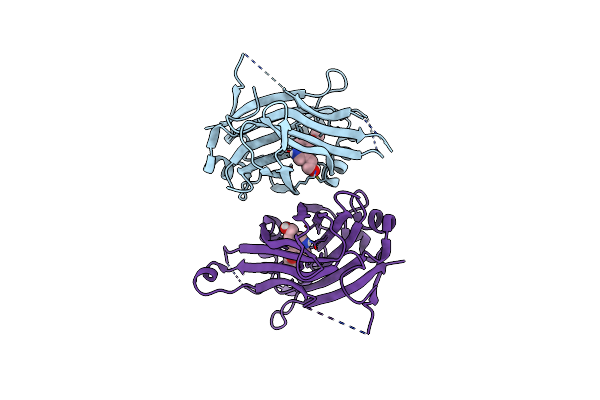 8RXP image