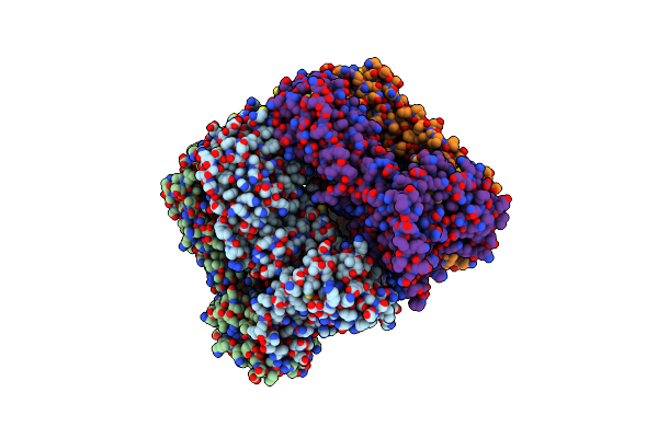 8RXT image
