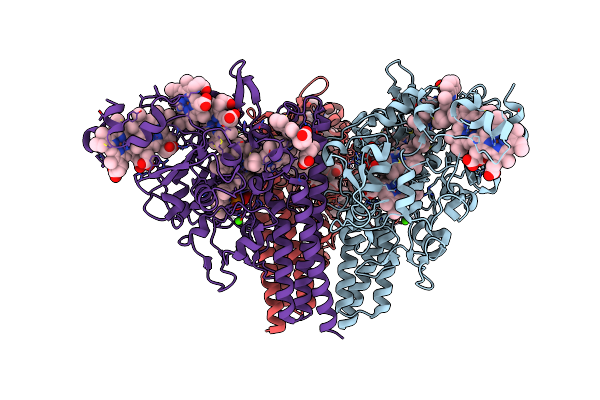 8RXU image