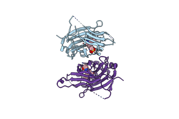8RXV image
