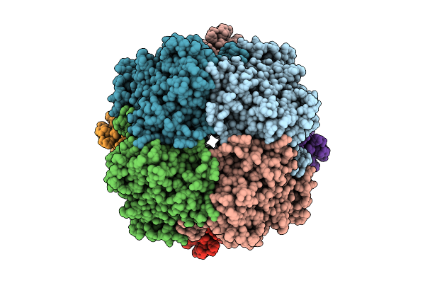8RY1 image