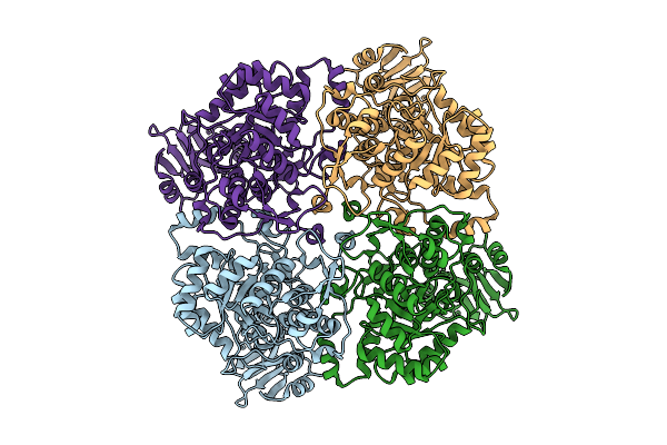 8RYA image