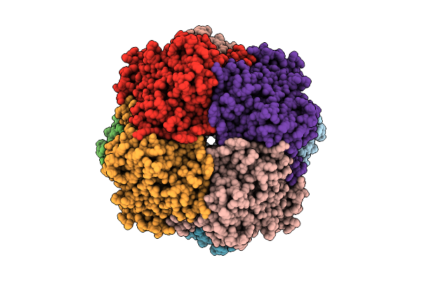 8RYB image