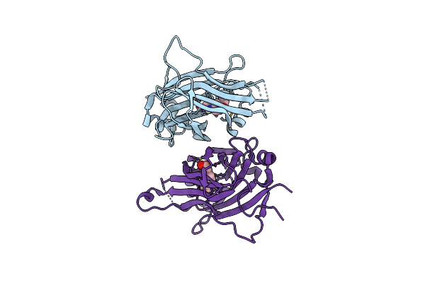 8RYC image
