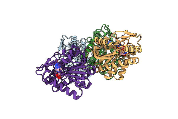 8RYD image