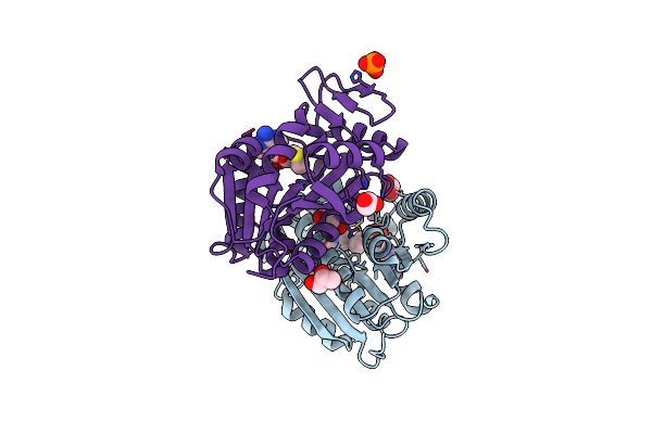 8RYF image