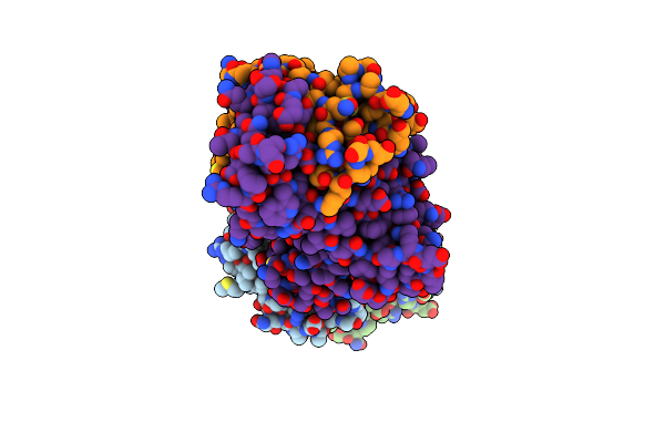 8RYO image