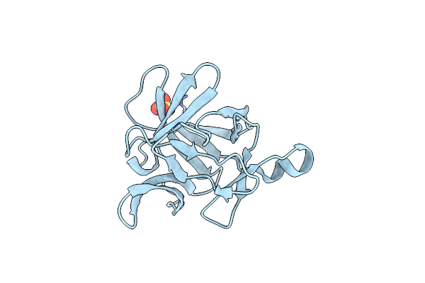 8RYS image