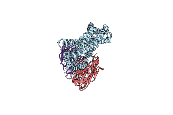 8RZ2 image
