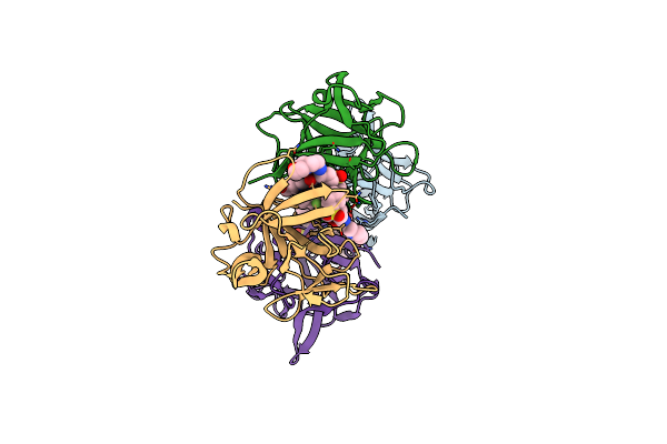8RZB image