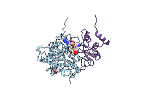 8RZC image