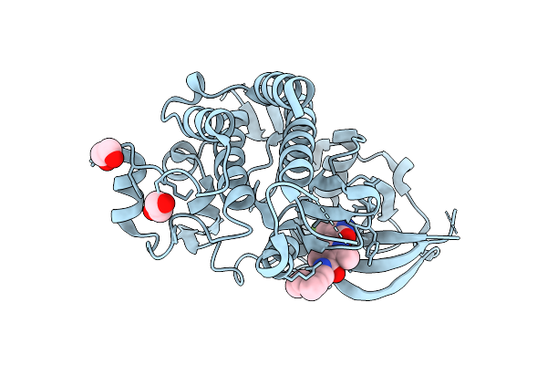 8S14 image