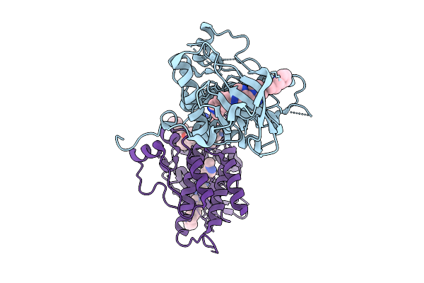 8S1B image