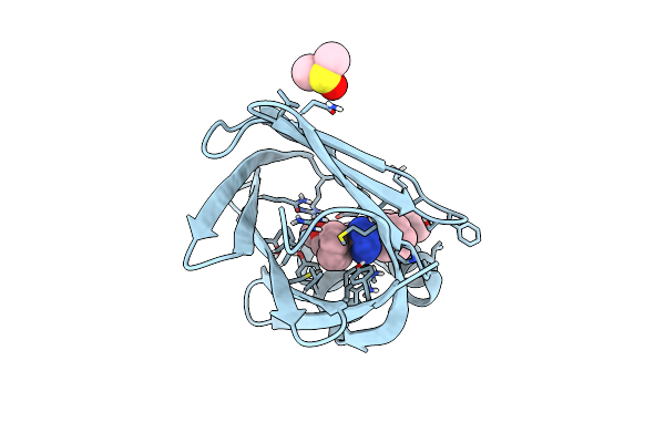 8S1K image