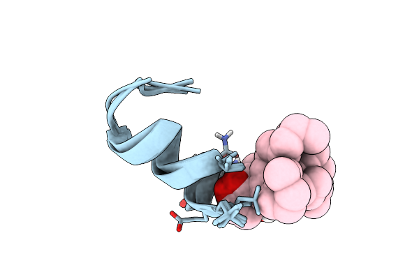8S2A image
