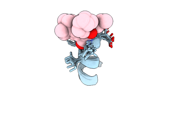8S2B image