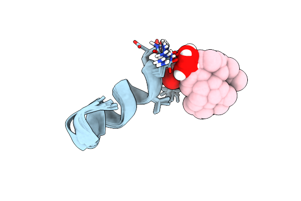 8S2D image